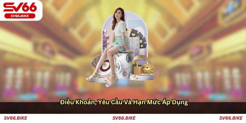 Điều khoản, yêu cầu và hạn mức áp dụng