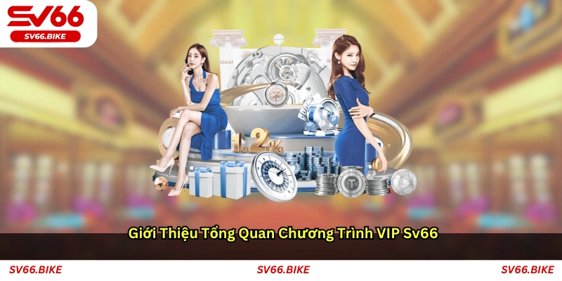 Giới thiệu tổng quan chương trình VIP SV66