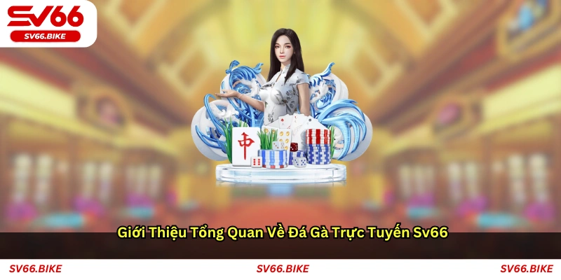 Giới thiệu tổng quan về đá gà trực tuyến SV66