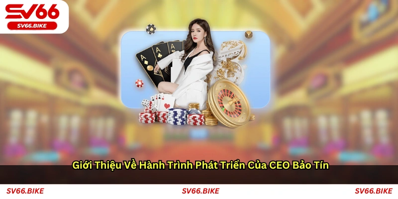 Giới thiệu về hành trình phát triển của CEO Bảo Tín