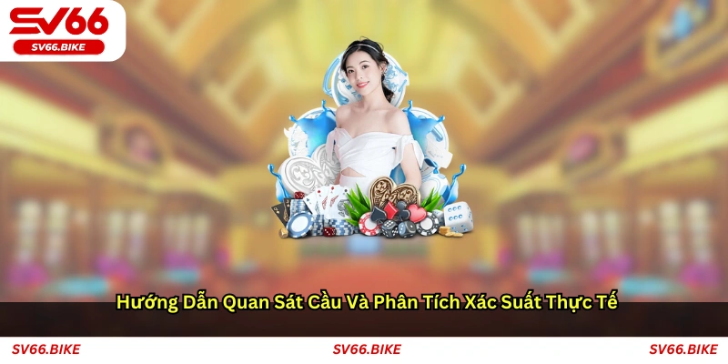 Hướng dẫn quan sát cầu và phân tích xác suất thực tế