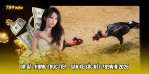 Đá Gà Thomo Trực Tiếp - Sân Kê Sắc Nét 789win 2026