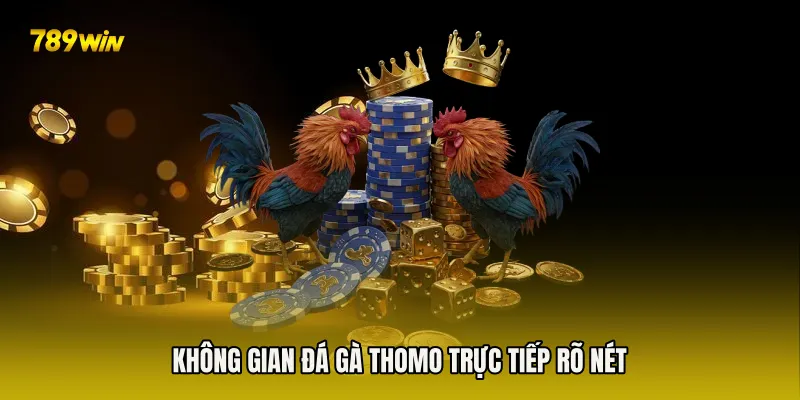 Không gian Đá Gà Thomo Trực Tiếp rõ nét