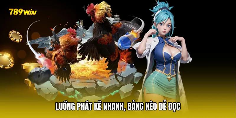 Luồng phát kê nhanh, bảng kèo dễ đọc